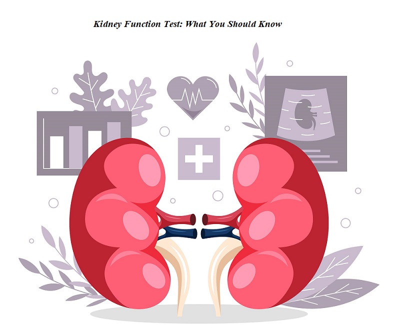 Kidney Test