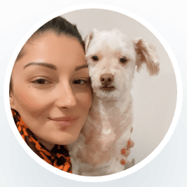 dog sitter melbourne